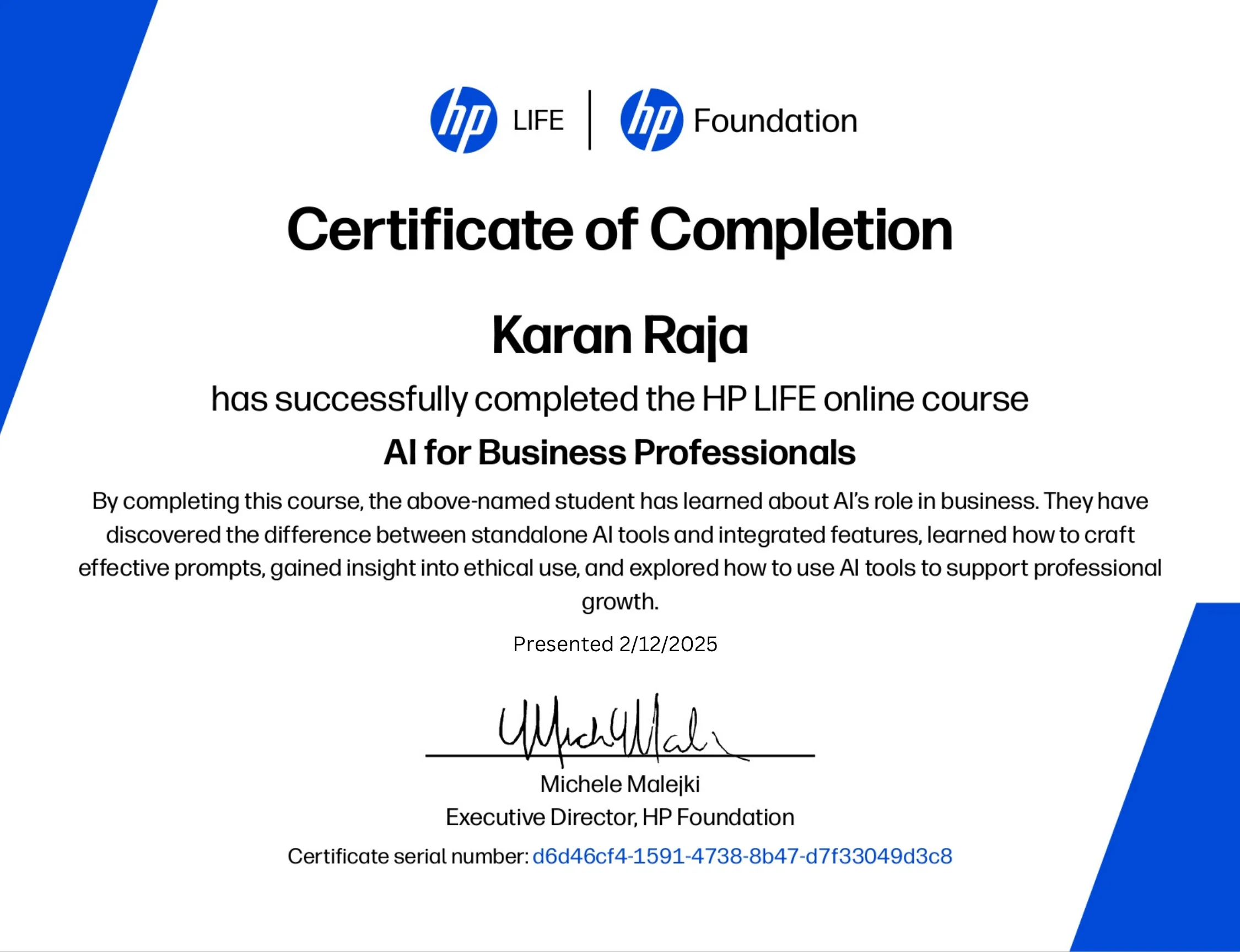 The Hp Foundation Certificate